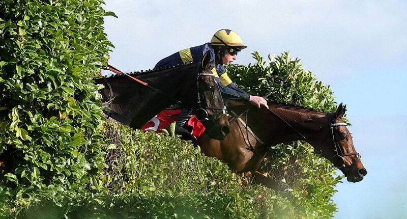 Cheltenham Festival LIVE: Latest tips, racecards and results from St Patrick's Day Thursday as massive favourite is OUT