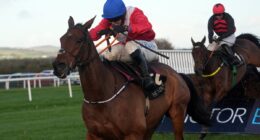 Cheltenham Festival under fire after four horses die as RSPCA demands action