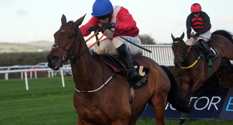 Cheltenham Festival under fire after four horses die as RSPCA demands action