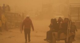 Children and pregnant woman among 12 killed in latest Israeli strikes on Gaza