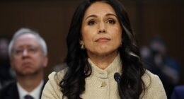The 2026 Annual Threat Assessment released by the Director of National Intelligence Tulsi Gabbard's office reveals that terrorism threats from teenage extremists are on the rise