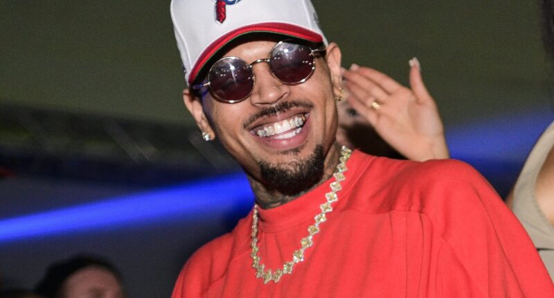 Chris Brown Has Fans Thinking A Tour Might Be Coming After Teasing Message About May