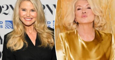 Christie Brinkley loves Martha Stewart's Elm Biosciences skincare