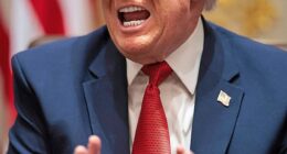 The Royal Navy has been forced to borrow a German frigate after 'running out of ships' ¿ as Donald Trump (pictured on February 28) mocked Britain's aircraft carriers as 'toys'