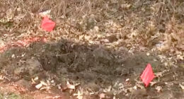 Cleveland Police Investigate 2 Girls Found Dead in Suitcases Buried in Shallow Graves
