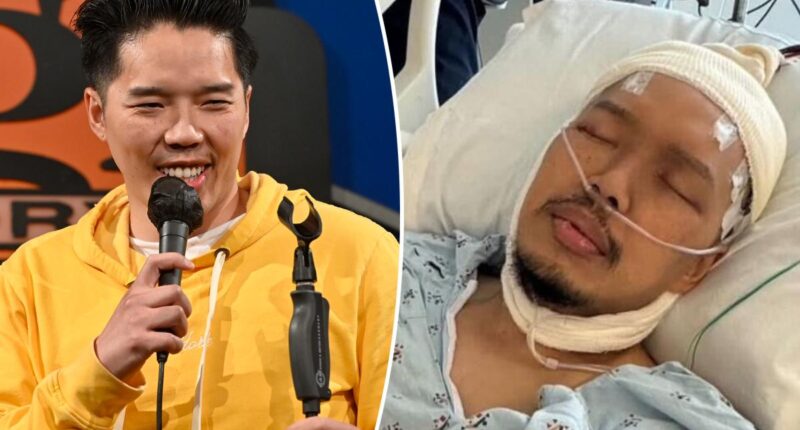 Comedian Alex Duong made a heartbreaking comment on social media just weeks before succumbing to cancer at 42