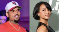 Chris Brown's Apparent Comment To TikToker Who Posted A Clip About Looking Like Karrueche Tran Has Social Media Users Dropping Side-Eyes (VIDEO)