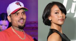 Chris Brown's Apparent Comment To TikToker Who Posted A Clip About Looking Like Karrueche Tran Has Social Media Users Dropping Side-Eyes (VIDEO)