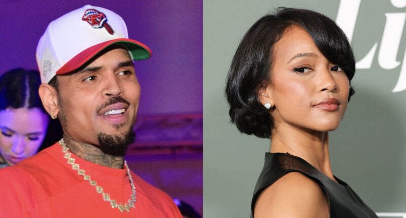 Chris Brown's Apparent Comment To TikToker Who Posted A Clip About Looking Like Karrueche Tran Has Social Media Users Dropping Side-Eyes (VIDEO)
