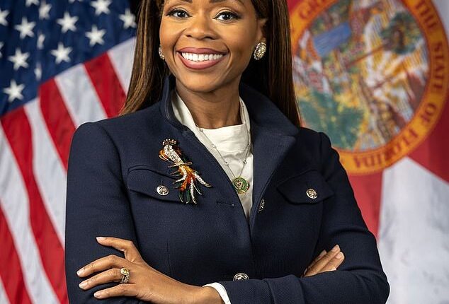 Representative Sheila Cherfilus-McCormick, was pictured with a large diamond ring on her hand in her official Congressional  portrait