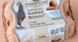 The brightly hued box of a Burford Brown ¿ the egg of choice for middle-class shoppers