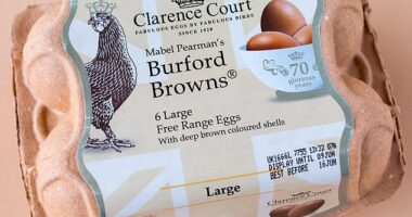 The brightly hued box of a Burford Brown ¿ the egg of choice for middle-class shoppers