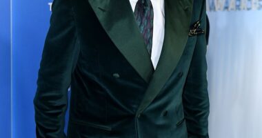 Delroy Lindo took the stage at the NAACP Image Awards in Los Angeles this Saturday - in his first public event since the racial slur scandal during his appearance at the BAFTAs