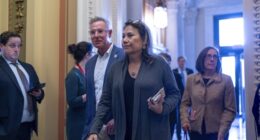 Dem Rep Under Fire After Staffer Posed As Lawyer for Illegals 11 Times—Smuggled Phones Into ICE Facility – RedState