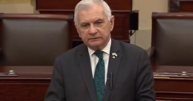 Dem States Keep Voter Rolls From DHS While Giving Them To Leftist Orgs