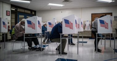 Democrats' War On Election Integrity Exposes Their Dirty Secret