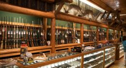 Dems Want Your Guns Because Violent Crime Gives Them Power