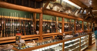 Dems Want Your Guns Because Violent Crime Gives Them Power