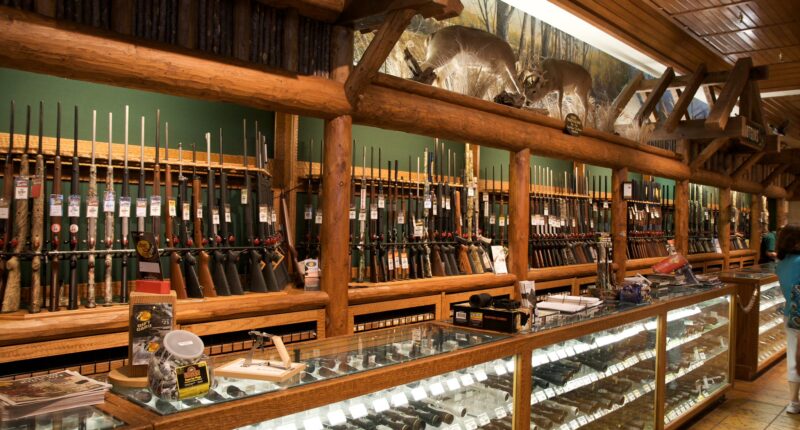 Dems Want Your Guns Because Violent Crime Gives Them Power