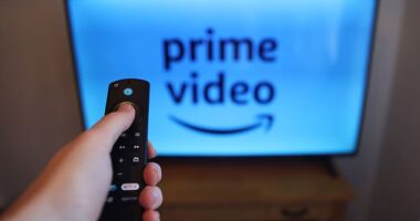 Names and addresses of over 300 dodgy box users will be handed over to Sky in efforts to clamp down on illegal streaming