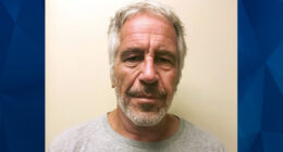 EPSTEIN MURDERED, PROOF?