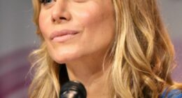 Elizabeth Mitchell: Bio And Career Highlights