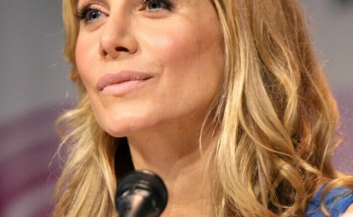 Elizabeth Mitchell: Bio And Career Highlights