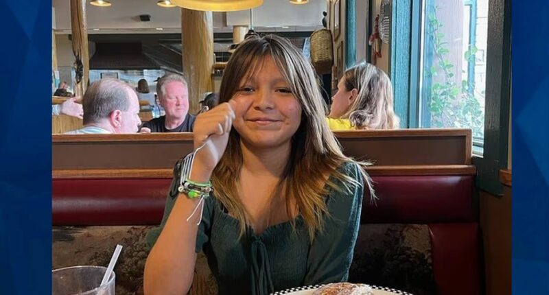 Emily Pike: Family Reveals Traumatic Home Life Before Arizona Girl’s Disappearance, Murder