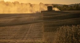 Energy and metals have been hot but a rally for agriculture commodities may now be getting under way, says technical analyst