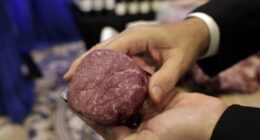 Evil Meat – HotAir