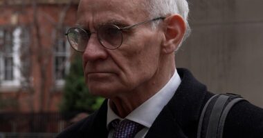 Former Conservative minister Crispin Blunt has pleaded guilty to four charges of possession of drugs including cannabis and crystal meth