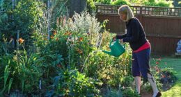 After a record amount of rainfall at the start of the year, green-fingered Brits will be hoping to spruce up their shrubs, while also basking in the long-awaited sunshine (stock image)