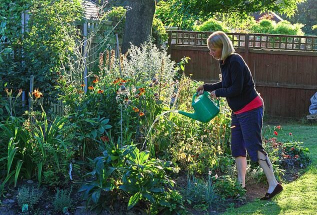 After a record amount of rainfall at the start of the year, green-fingered Brits will be hoping to spruce up their shrubs, while also basking in the long-awaited sunshine (stock image)