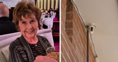 FBI Analysis Of Nancy Guthrie Case Reveals Six Theories And A Disturbing New Lead Now Being Pursued