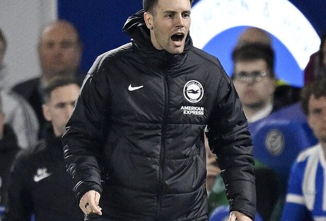 Fabian Hurzeler accused Arsenal of time-wasting in their 1-0 win at the Amex