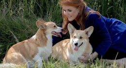 Sarah Ferguson was seeking ways to leverage what little remained of her royal status, when the idea of monetising the Queen's corgis was floated in May 2023