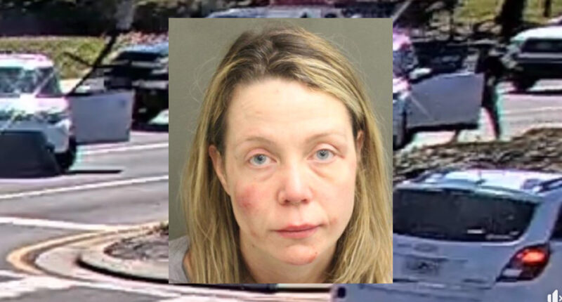 Florida Woman Charged in Road Rage Attack on Pregnant Woman, Elderly Woman – Also Bit Cop