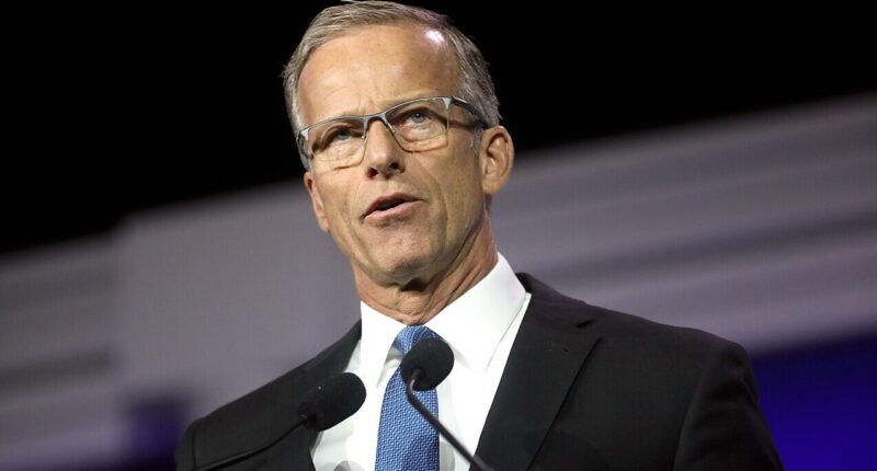 Senate Majority Leader John Thune