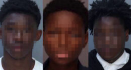 GRAPHIC: Teen Trio Put Rocks in Rape Victim’s Mouth To Stifle Her Screams