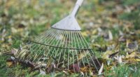 Clair Albone, a gardening specialist at Wickes, has revealed her top tips to get your lawn ready for the warmer months. One process she recommends is scarifying with a rake (stock image)