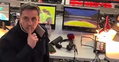 Neville, who had at first appeared to be ignoring the abuse, then turned up to the stands and put his finger to his mouth, telling the fan to be quiet