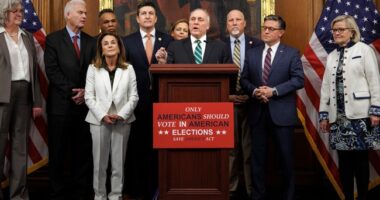 Gee, You Think the Democrats' Opposition to the SAVE Act and Deportations Might Be Related? – HotAir