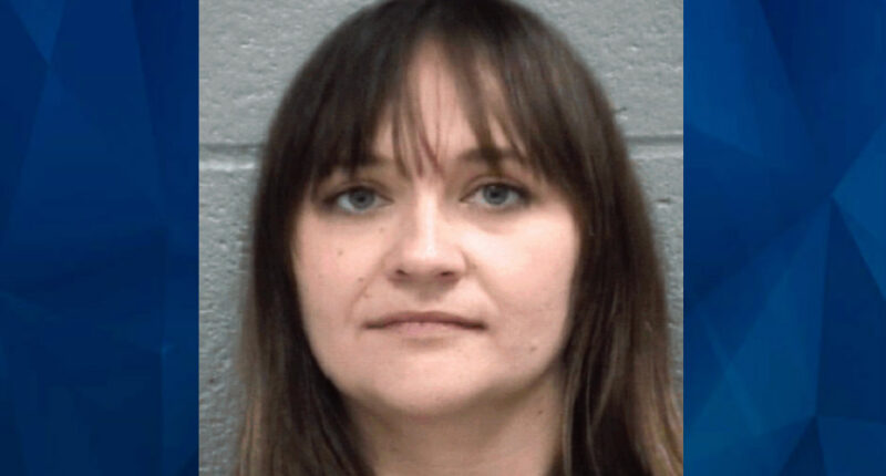 Georgia Mom Slams 5-Year-Old Daughter Into Chain Link Fence at Crowded Festival