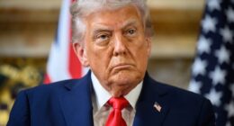 Germany and UK reject Trump’s call for help in Strait of Hormuz: ‘Not Nato’s war’