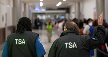 Congress appeared poised to pass funding for TSA workers on Friday before some hardline Republican's rejected their Senate counterpart's proposal