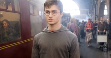 Harry Potter Series’ Release Schedule Gets Disappointing Update From HBO Exec