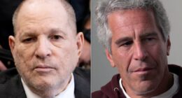 Harvey Weinstein Downplays Epstein Ties Despite Evidence Of Overlap
