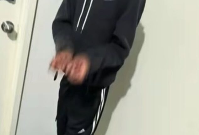 Tributes have flooded TikTok for young Robbie