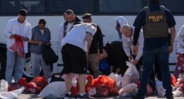 House Democrat Gives Away the Game During Heated Exchange on DHS Funding Stalemate – RedState