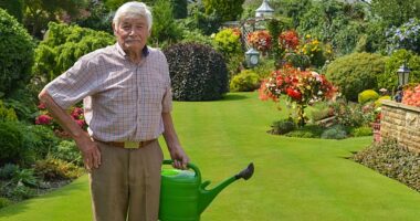 Green-fingered Stuart Grindle, 82, spends up to 16 hours tending to his lawn every day and has zero intention of letting Britain's wet weather destroy his prized labour of love